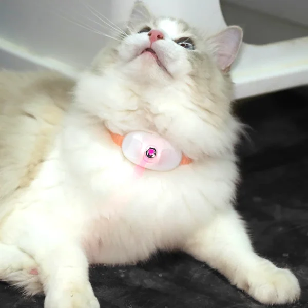 Cat Toy Storage: Smart Laser Teasing Cat Collar Interactive Toy - Image 6